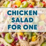 Chicken Salad For One