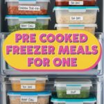 Pre Cooked Freezer Meals For One