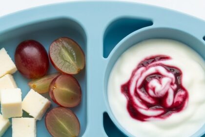 Lunch Ideas For Daycare One Year Old