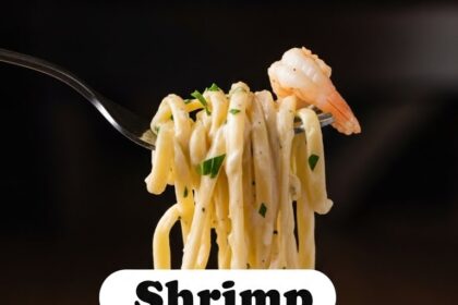 Shrimp Fettuccine Alfredo For One
