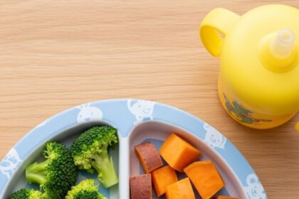 Easy Meal Ideas For One Year Old