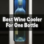 Best Wine Cooler For One Bottle