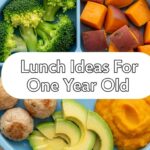 Lunch Ideas For One Year Old