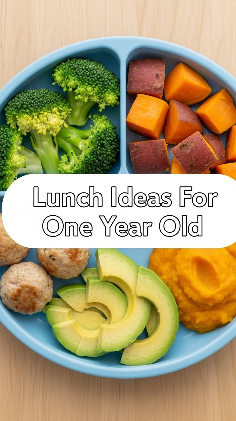 Lunch Ideas For One Year Old