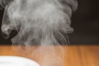 Quick Easy Dinners For One