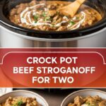 Crock Pot Beef Stroganoff For Two