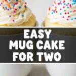 Easy Mug Cake For Two