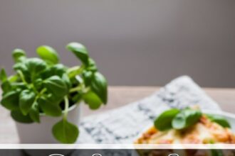 Spinach Lasagna For Two