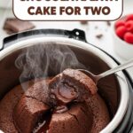 Instant Pot Chocolate Lava Cake For Two