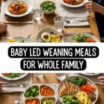 Baby Led Weaning Meals For Whole Family