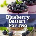 Blueberry Dessert For Two