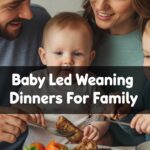 Baby Led Weaning Dinners For Family