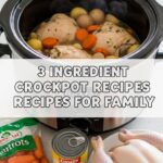 3 Ingredient Crockpot Recipes For Family