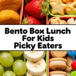 Bento Box Lunch For Kids Picky Eaters