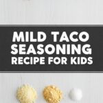 Mild Taco Seasoning Recipe For Kids