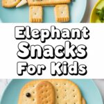 Elephant Snacks For Kids