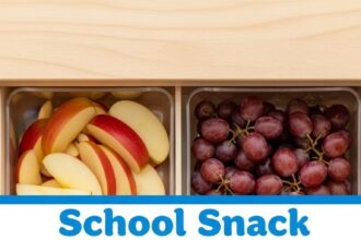 School Snack Ideas For Kids