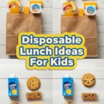 Disposable Lunch Ideas For Kids