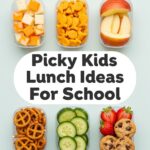 Picky Kids Lunch Ideas For School