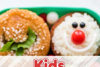 Kids Christmas Lunch Ideas For School