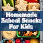 Homemade School Snacks For Kids