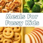 Meals For Fussy Kids
