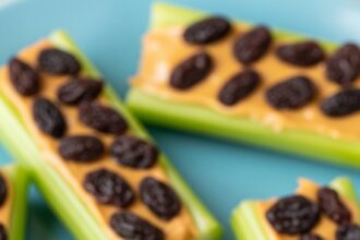 Ants On A Log Snack For Kids