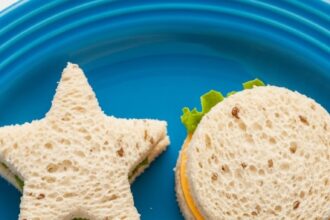 Turkey Sandwich For Kids