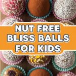 Nut Free Bliss Balls For Kids