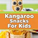 Kangaroo Snacks For Kids