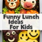 Funny Lunch Ideas For Kids