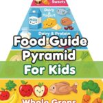 Food Guide Pyramid For Kids