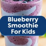 Blueberry Smoothie For Kids